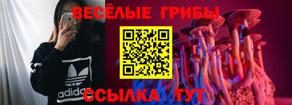 Бошки Шишки Канск